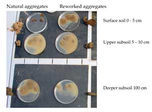 Quick Reference Guide:  Assessing aggregate stability
