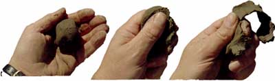 Quick Reference Guide:  Assessing soil texture