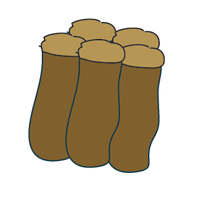 Type of soil structure