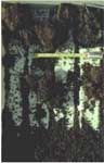 Test 13