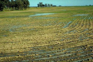 Waterlogging