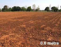 Figure 14. Wetting pattern for 0.6 and 1.4 m drip tape spacing after 30 mm water was applied on fine sandy