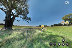 Tile taken from a screen grab of the Tinamba landscape panorama