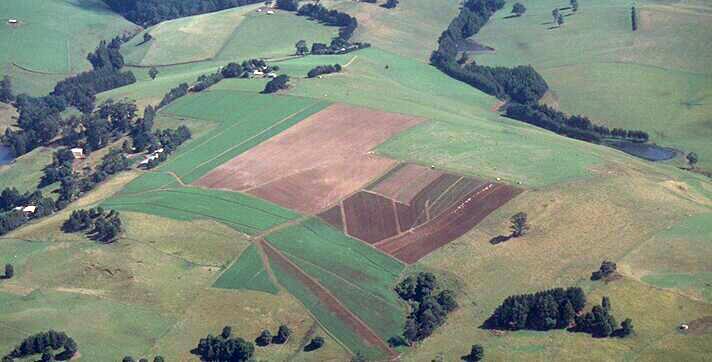 Aerial image of cropping at thorpdale