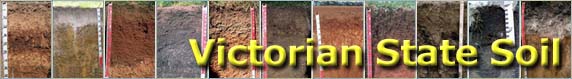 Banner: Contenders for Victorian State Soil