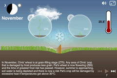 Screen grab taken from a scene of the crop growth in the high rainfall zone animation