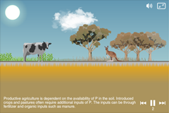 Screen grabs of animations