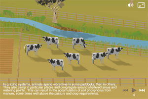 Screen grabs of animations
