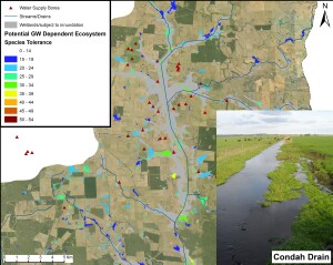 Groundwater Dependent Ecosystem