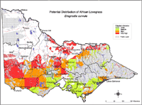 Map: Potential distribution of African Lovegrass