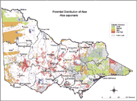 Map: Potential distribution of Aloe