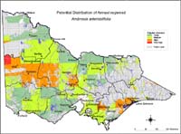 Map:  Potential Distribution Annual ragweed
