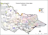 Map:  Potential distribution Black willow