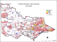 Map:  Potential distribution Blue Periwinkle