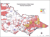 Map: Potential distribution of Bridal Creeper