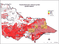 Map: Potential distribution of Brown-top Bent