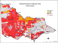 Map: Potential distribution of Californian Thistle