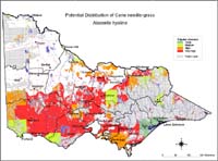 Map:  Potential distribution Cane Needlegrass