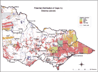 Map: Potential distribution of Cape Ivy