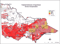 Map: Potential distribution of Cape Broom