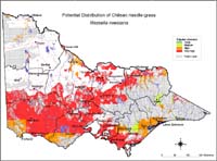 Map:  Potentilal distribution Chilean Needlegrass