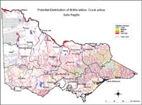Map:  Potential distribution Crack Willow