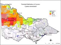 Map:  Potential distribution Cyperus