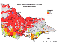 Map: Potential distribution of Devil's Claw (purpleflower)