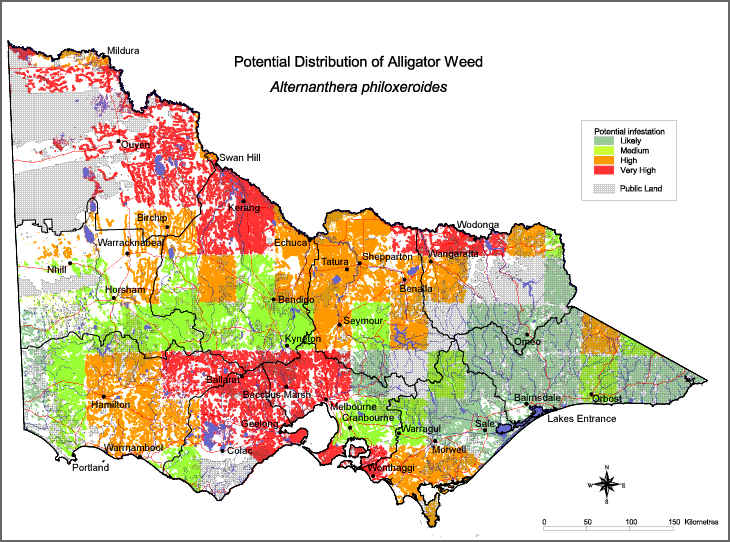 Map:  Potential distribution - Alligator Weed