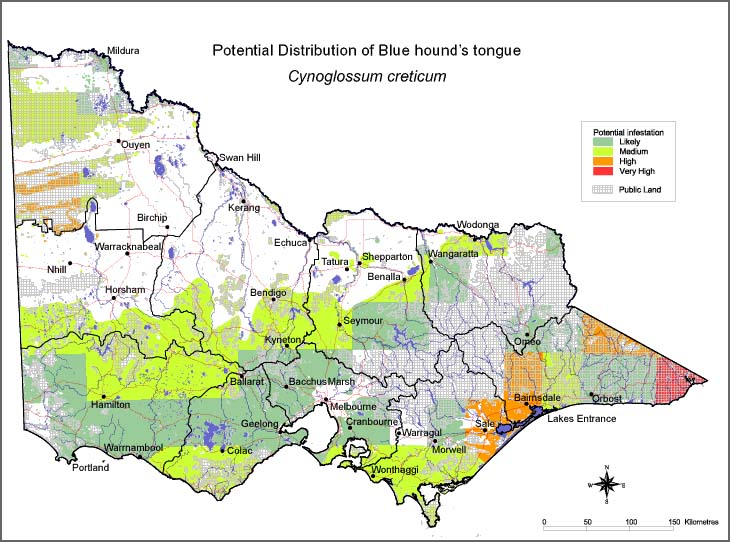 Map:  Potential distribution - Blue Hound's Tongue