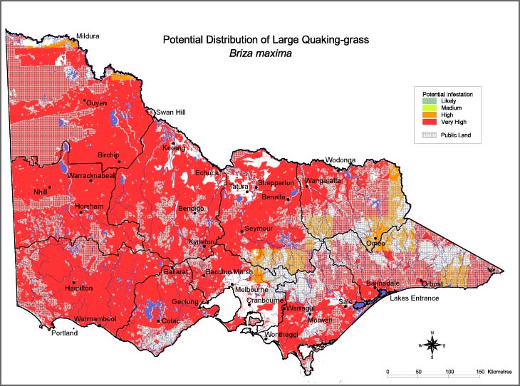 Map:  Potential distribution - Large Quaking Grass