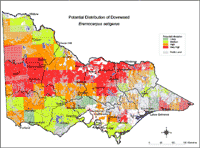Map: Potential distribution of Doveweed