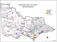 Map: Potential distribution of Dune Willow