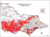 Map:  Potential distribution Fennel