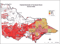 Map: Potential distribution of Flax-leaved Broom