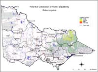 Map:  Potential distribution Florida Blackberry