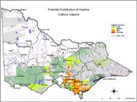 Map:  Potential distribution Heather