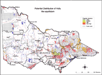 Map: Potential distribution of Holly