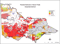 Map: Potential distribution of Illyrian Thistle