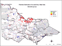 Map: Potential distribution of Ivy Leaved Sida