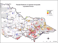 Map: Potential distribution of Japanese Honeysuckle