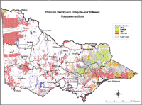 Map: Potential distribution of Myrtle-leaf Milkwort
