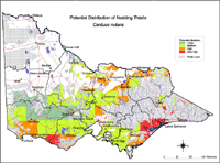 Map: Potential distribution of Nodding Thistle