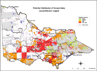 Map: Potential distribution of Ox-eye Daisy