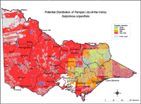 Map:  Potential distribution Pampas Lily-of-the-Valley