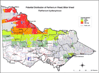 Map:  Potential distribution Parthenium Weed