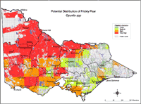 Map:  Potential distribution Prickly Pear