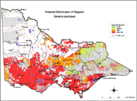 Map:  Potential distribution Ragwort