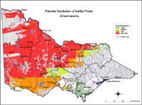 Map:  Potential distribution Soldier Thistle
