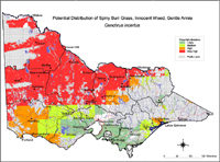 Map:  Potential distribution Spiny Burr